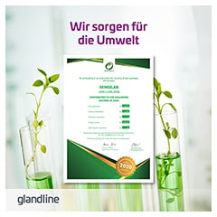 GLANDLINE M-PAUSE forte Menopause+Hopfen Kapseln 30 Stck - Info 6
