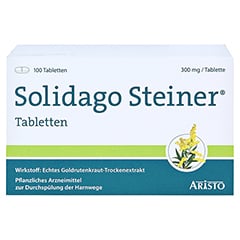 Solidago Steiner 100 Stück - Vorderseite