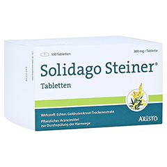 Solidago Steiner 100 Stück
