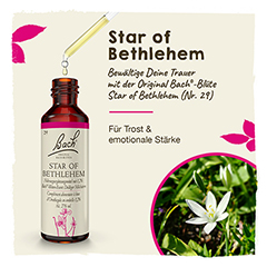 Bachblten Star of Bethlehem Tropfen 20 Milliliter - Info 1