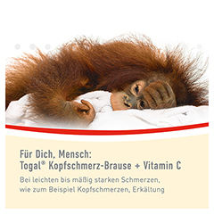 Togal Kopfschmerz-Brause+Vitamin C 20 Stck - Info 4