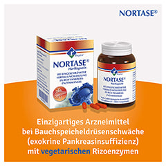 Nortase 200 Stck N3 - Info 1