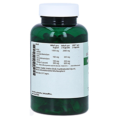 FISCHL 1000 mg Kapseln 90 Stck - Rechte Seite