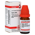 SEPIA LM IV Dilution 10 Milliliter N1