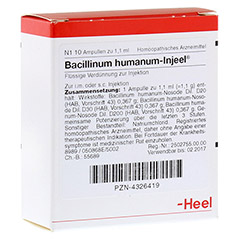 BACILLINUM humanum Injeel Ampullen 10 Stck N1