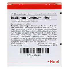 BACILLINUM humanum Injeel Ampullen 10 Stck N1 - Vorderseite
