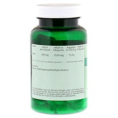 INULIN 420 mg Kapseln 90 Stck - Linke Seite