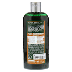 Auf welche Punkte Sie als Kunde vor dem Kauf der Logona shampoo erfahrungen achten sollten!