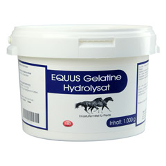 GELATINE HYDROLYSAT Equus Pulver vet.