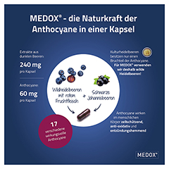 MEDOX Anthocyane aus wilden Beeren 30 Stck - Info 1