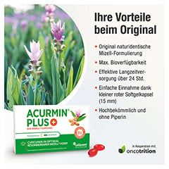 Acurmin Plus Das Mizell-Curcuma Weichkapseln 60 Stck - Info 2