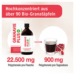 GRANAVIE PLUS Granatapfel Polyphenole Bio Konz. 500 Milliliter - Info 3
