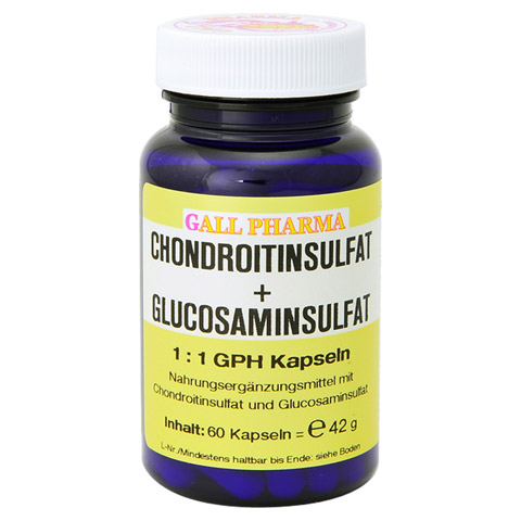 CHONDROITINSULFAT+Glusosaminsulfat 1:1 GPH Kapseln 60 Stck