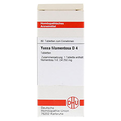 YUCCA FILAMENTOSA D 4 Tabletten 80 Stck N1 - Vorderseite