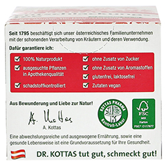 DR.KOTTAS Entschlackungstee Filterbeutel 20 Stück - Unterseite
