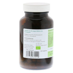 GERSTENGRAS 500 mg Bio Tabletten 240 Stück - Rechte Seite