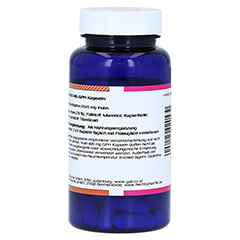INULIN 420 mg GPH Kapseln 90 Stck - Rechte Seite