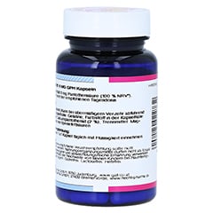 VITAMIN B5 6 mg GPH Kapseln 30 Stück - Rechte Seite