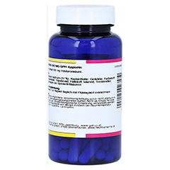 HYALURON 100 mg GPH Kapseln 90 Stck - Rechte Seite