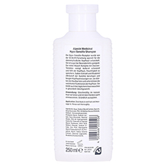 ALPECIN Hypo-Sensitiv Shampoo 250 Milliliter - Rckseite