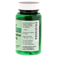 L-TRYPTOPHAN 90 mg Kapseln 60 Stück - Rechte Seite