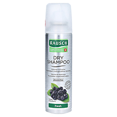 RAUSCH Dry Shampoo fresh Dosierspray 150 Milliliter