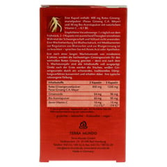 ROTER GINSENG 400 mg 8% von Terra Mundo Kapseln 40 Stück - Rückseite