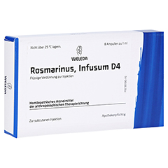 ROSMARINUS D 4 Ampullen 8x1 Milliliter N1
