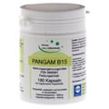 PANGAM Vitamin B15 Vegi Kapseln 180 Stück