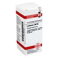 LACHESIS LM XII Dilution 10 Milliliter N1