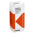 SYNERGON KOMPLEX 37 Ammonium bromatum N Tropfen 50 Milliliter N1