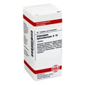 HISTAMINUM hydrochloricum D 10 Tabletten 80 Stck N1