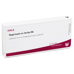 HYPERICUM EX Herba D 6 Ampullen
