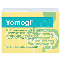 Yomogi 50 Stück N3 - Vorderseite