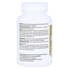 Quercetin Kapseln 250 mg 90 Stück - Linke Seite