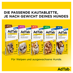 ADTAB 225 mg Kautabletten fr Hunde >5,5-11 kg 3 Stck - Info 1