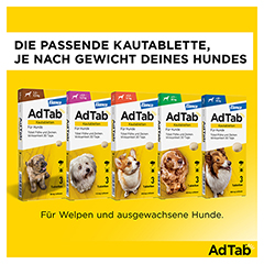 ADTAB 900 mg Kautabletten fr Hunde >22-45 kg 3 Stck - Info 4