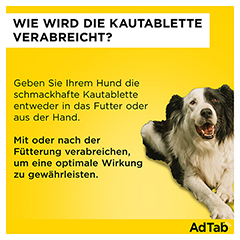 ADTAB 450 mg Kautabletten fr Hunde >11-22 kg 3 Stck - Info 4