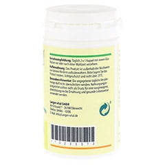 INULIN 690 mg pro Tag+probiotische Kulturen Kaps. 60 Stück - Linke Seite