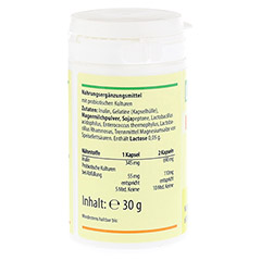 INULIN 690 mg pro Tag+probiotische Kulturen Kaps. 60 Stück - Rechte Seite