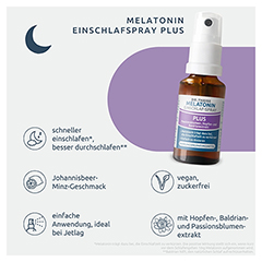 DR.THEISS Melatonin Einschlaf-Spray Plus 20 Milliliter - Info 2