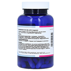 MAGNESIUM 100 mg GPH Kapseln 120 Stck - Rckseite