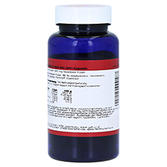 HEIDELBEER P 400 mg Kapseln 90 Stck - Rechte Seite