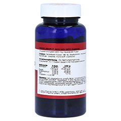 HEIDELBEER P 400 mg Kapseln 90 Stck - Linke Seite