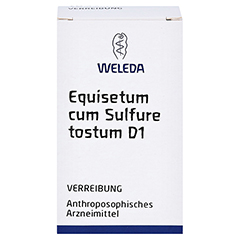 EQUISETUM CUM Sulfure tostum D 1 Trituration 20 Gramm N1 - Vorderseite