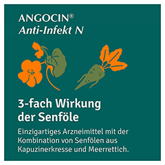 Angocin Anti-Infekt N 100 Stck N2 - Info 2