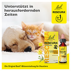 BACHBLÜTEN Original Rescura Pets Tro.alk.frei vet. 10 Milliliter - Info 3