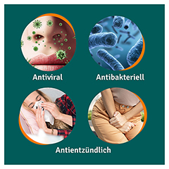 Angocin Anti-Infekt N 50 Stück N1 - Info 3