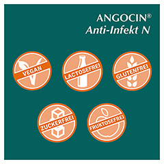 Angocin Anti-Infekt N 100 Stck N2 - Info 6