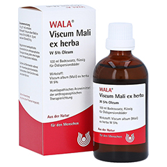 VISCUM MALI ex herba W 5% Oleum 100 Milliliter
